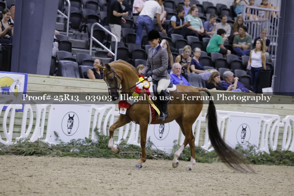 Proof 25R13_03903