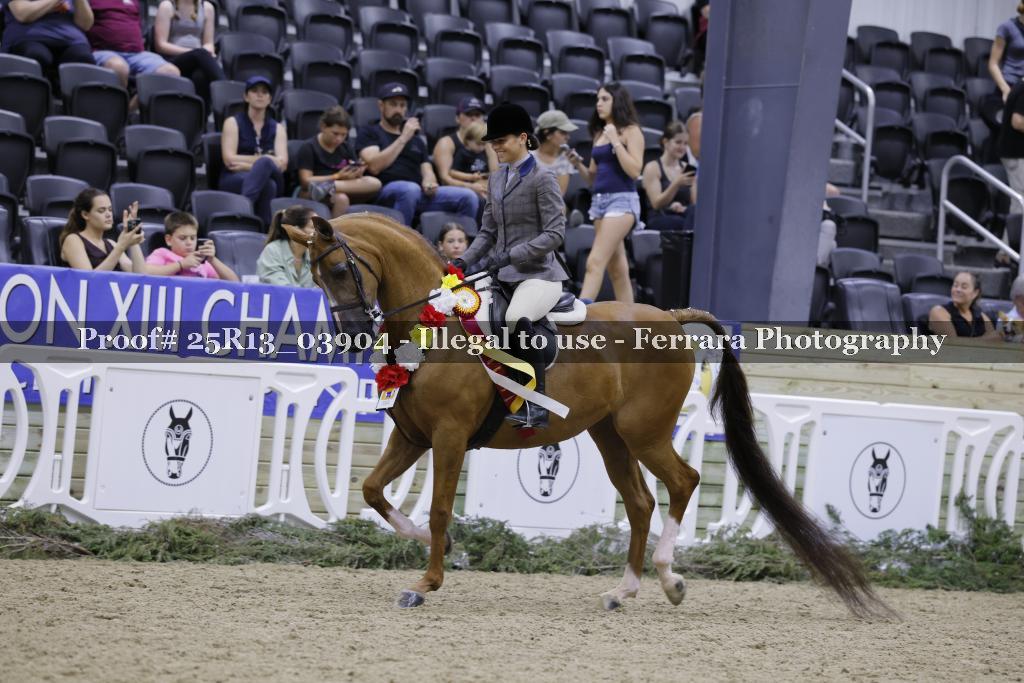 Proof 25R13_03904
