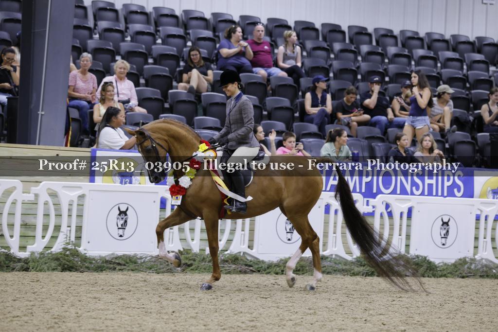 Proof 25R13_03905