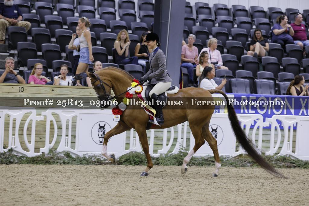 Proof 25R13_03906