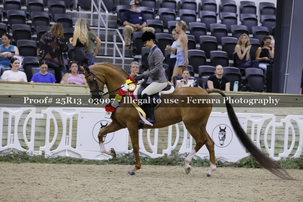 Proof 25R13_03907