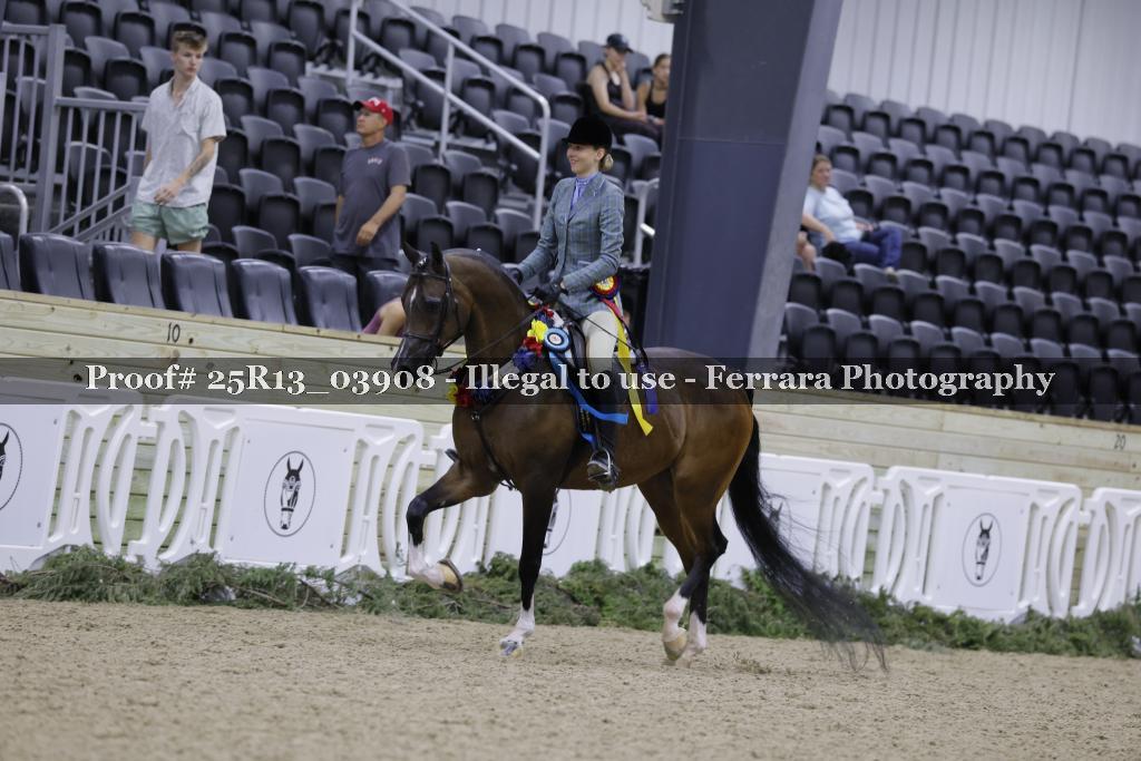 Proof 25R13_03908