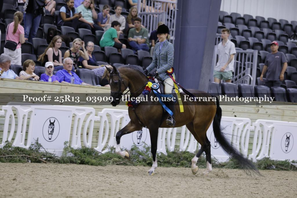 Proof 25R13_03909