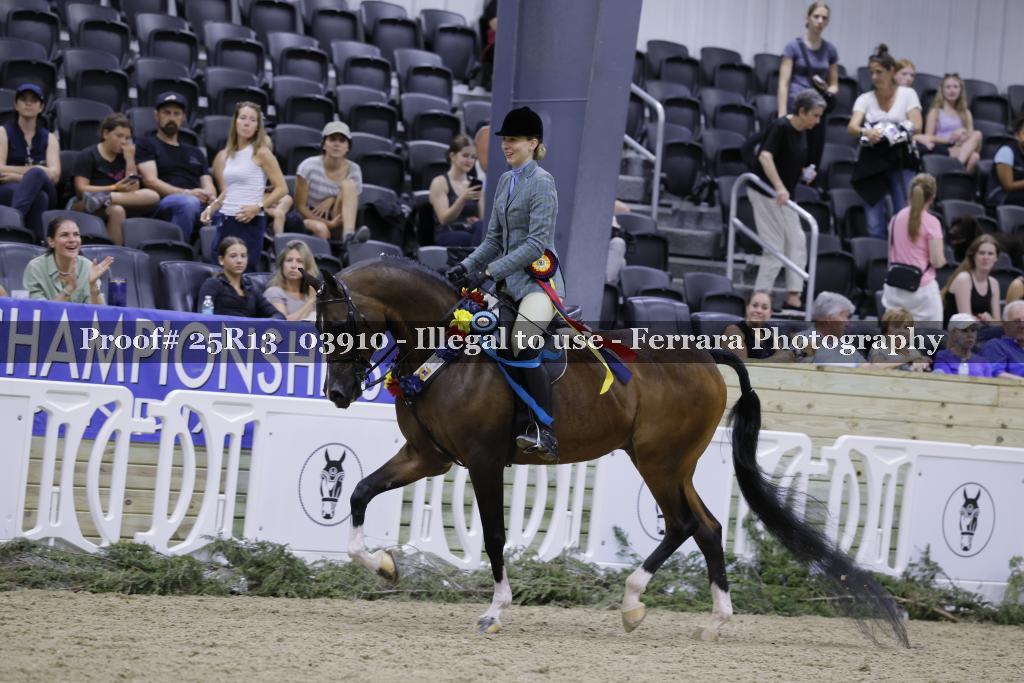 Proof 25R13_03910