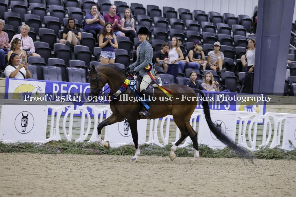 Proof 25R13_03911