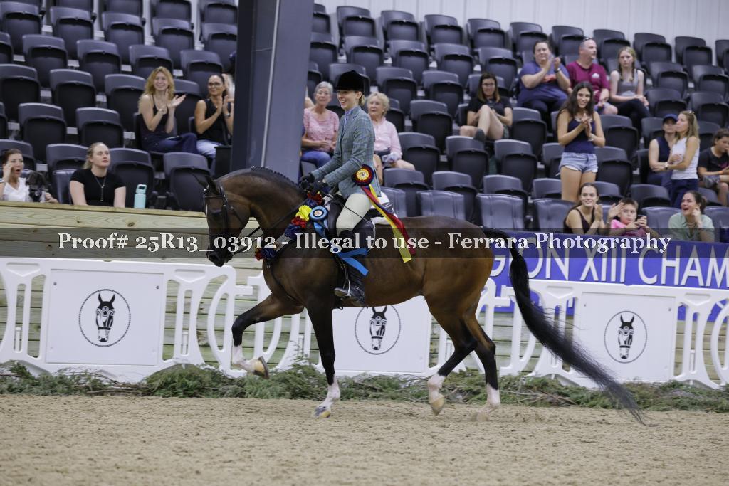 Proof 25R13_03912