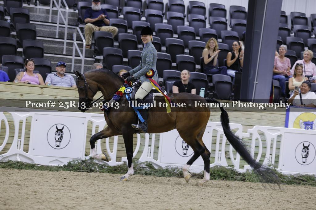 Proof 25R13_03913