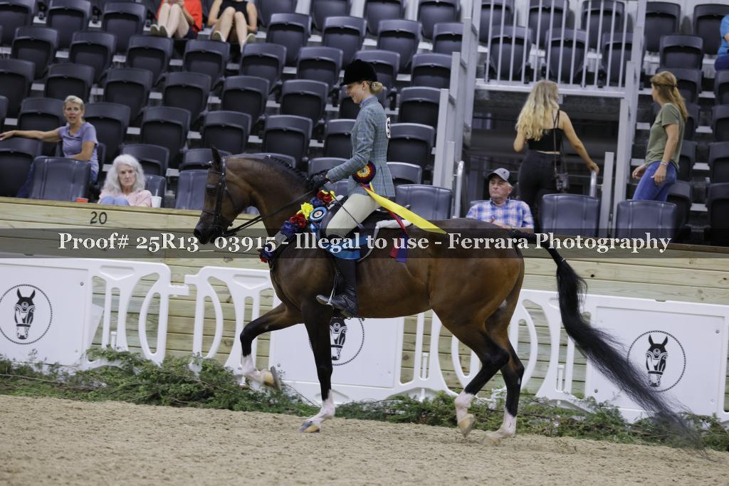 Proof 25R13_03915