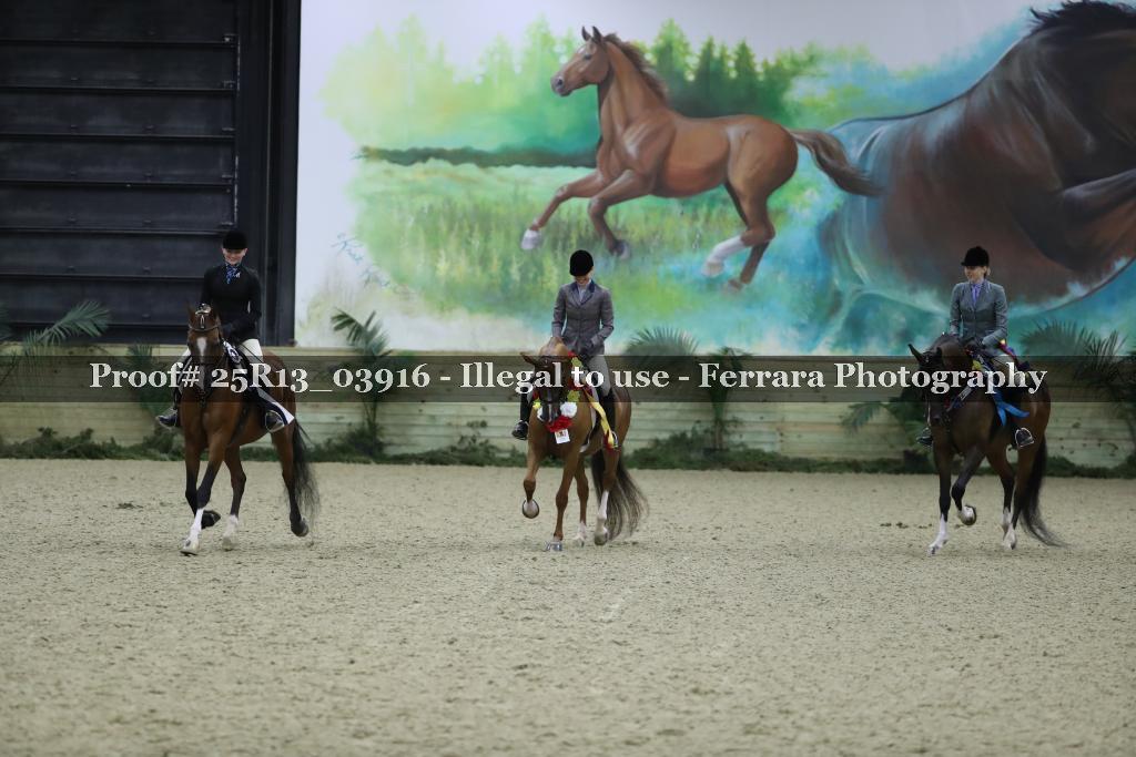 Proof 25R13_03916