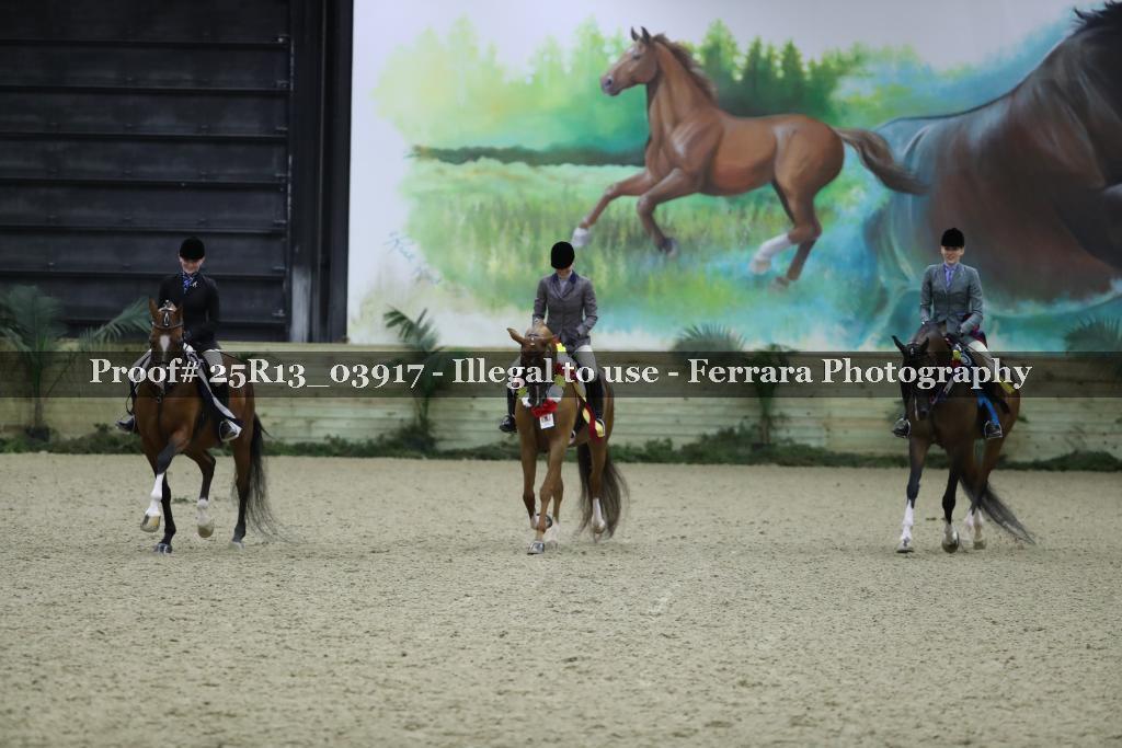 Proof 25R13_03917