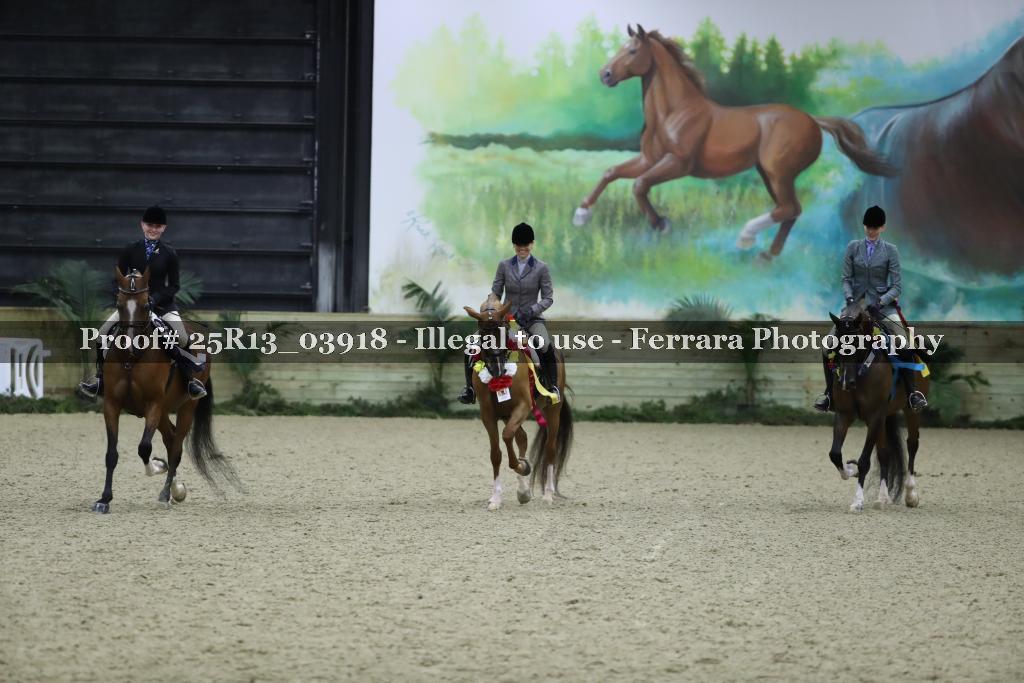 Proof 25R13_03918