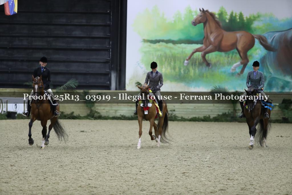 Proof 25R13_03919