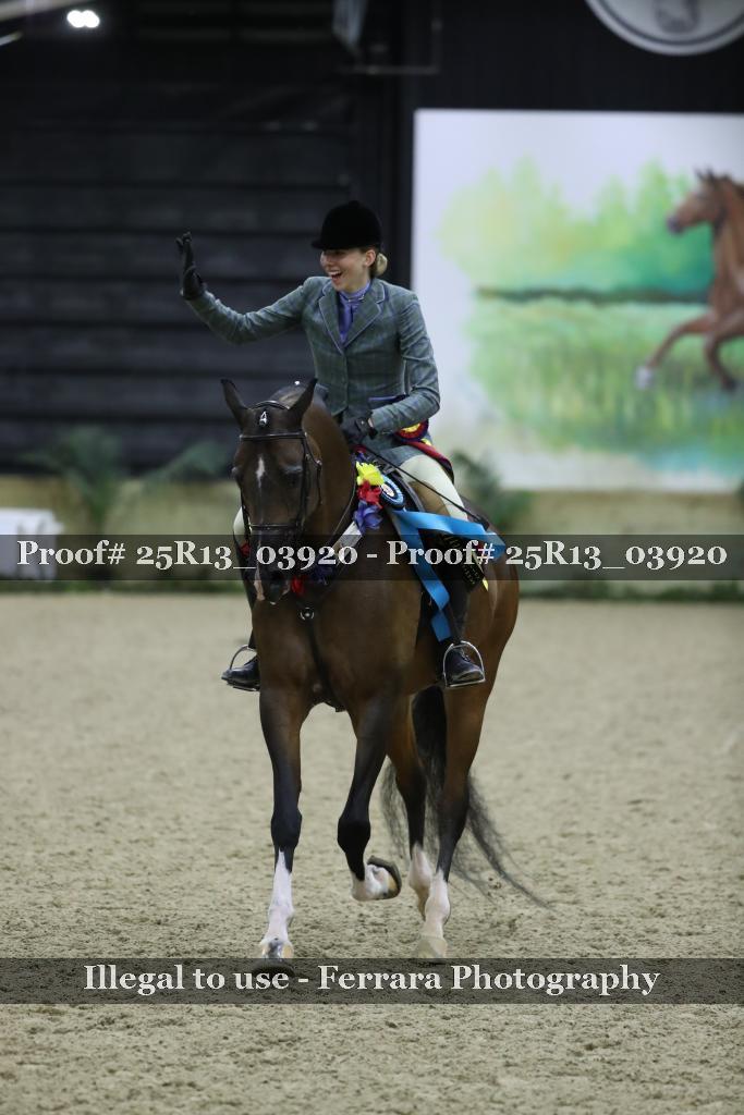 Proof 25R13_03920