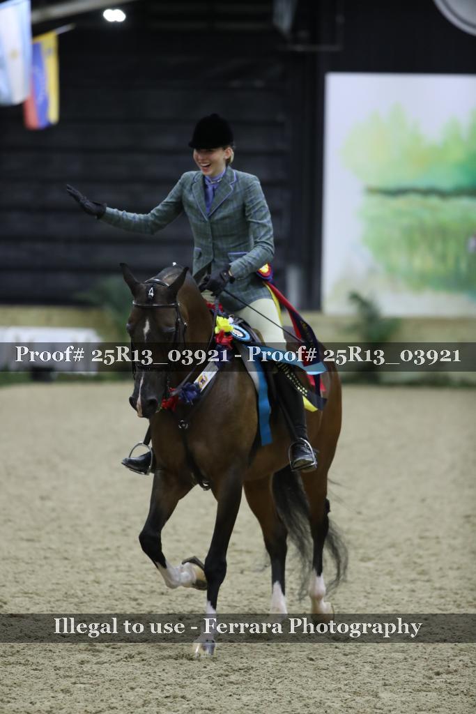 Proof 25R13_03921