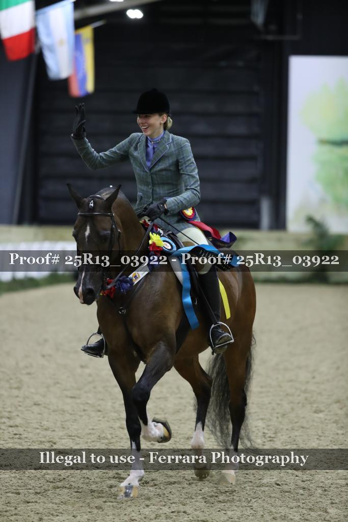 Proof 25R13_03922
