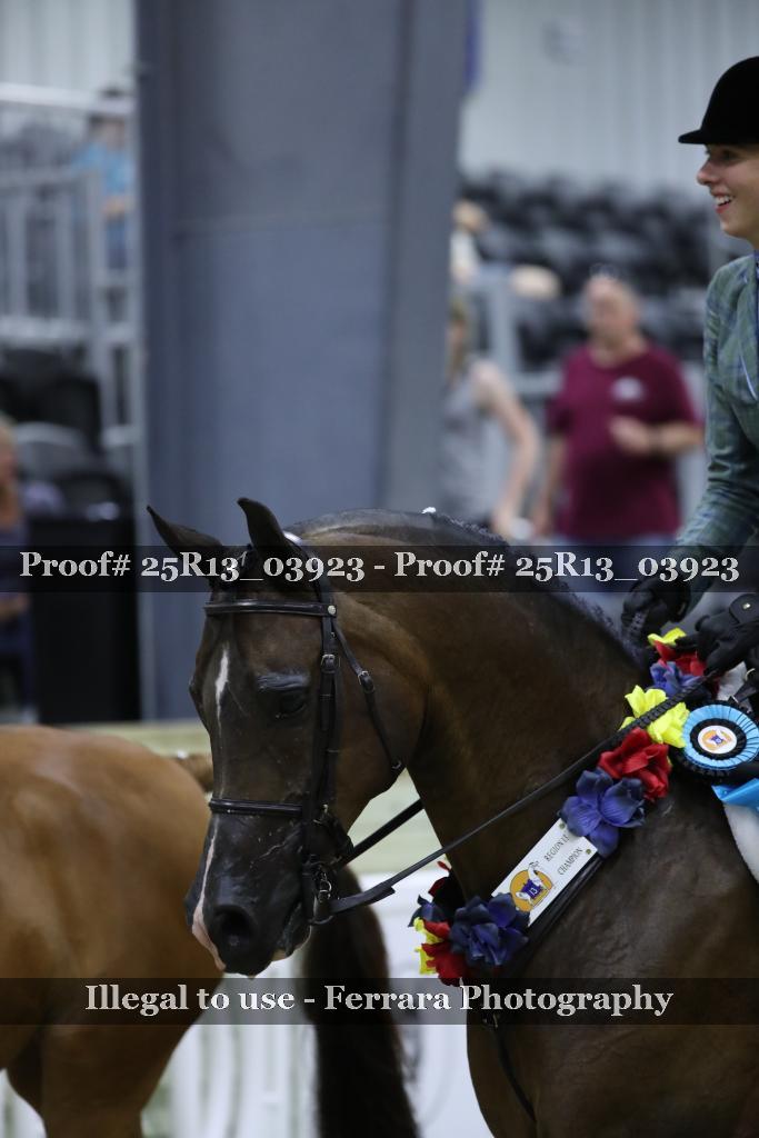 Proof 25R13_03923