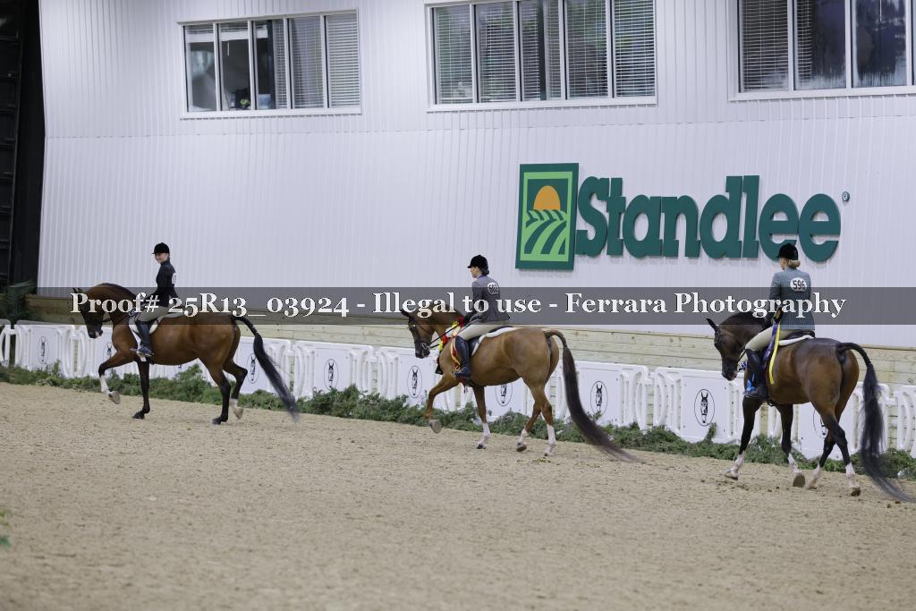 Proof 25R13_03924