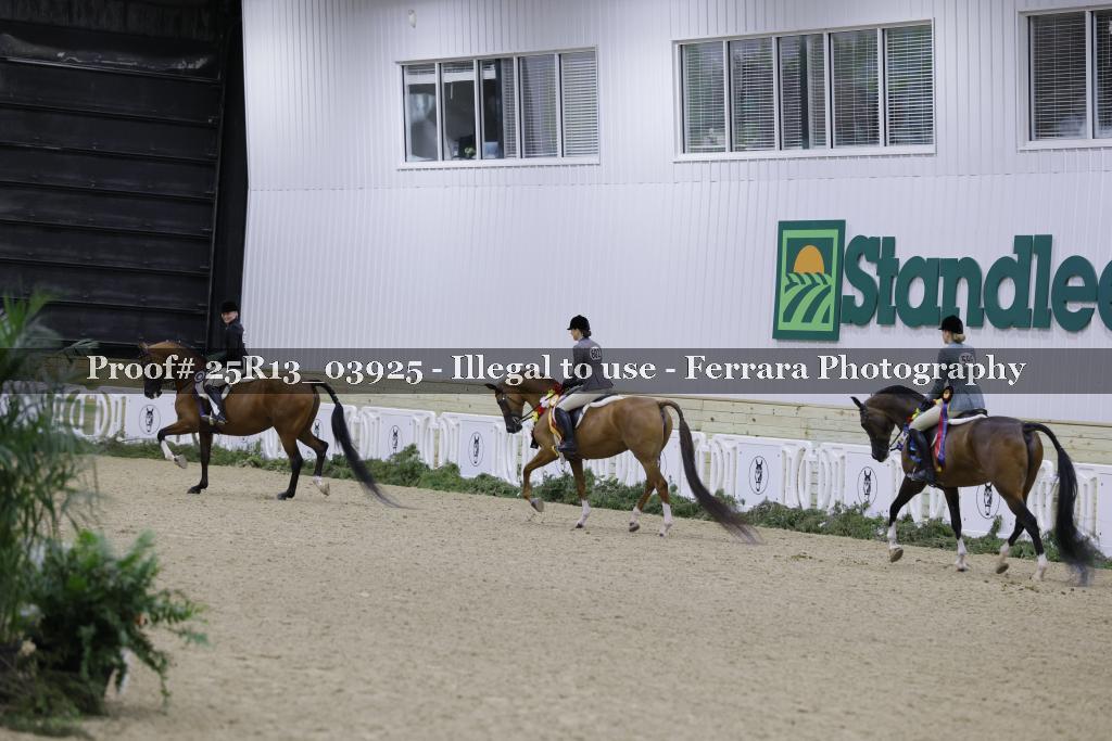 Proof 25R13_03925