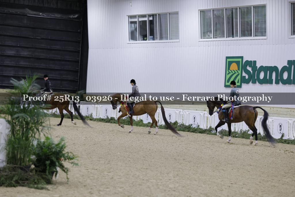 Proof 25R13_03926
