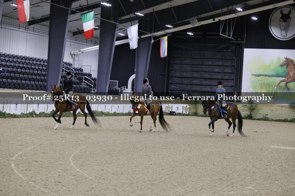 Proof 25R13_03930