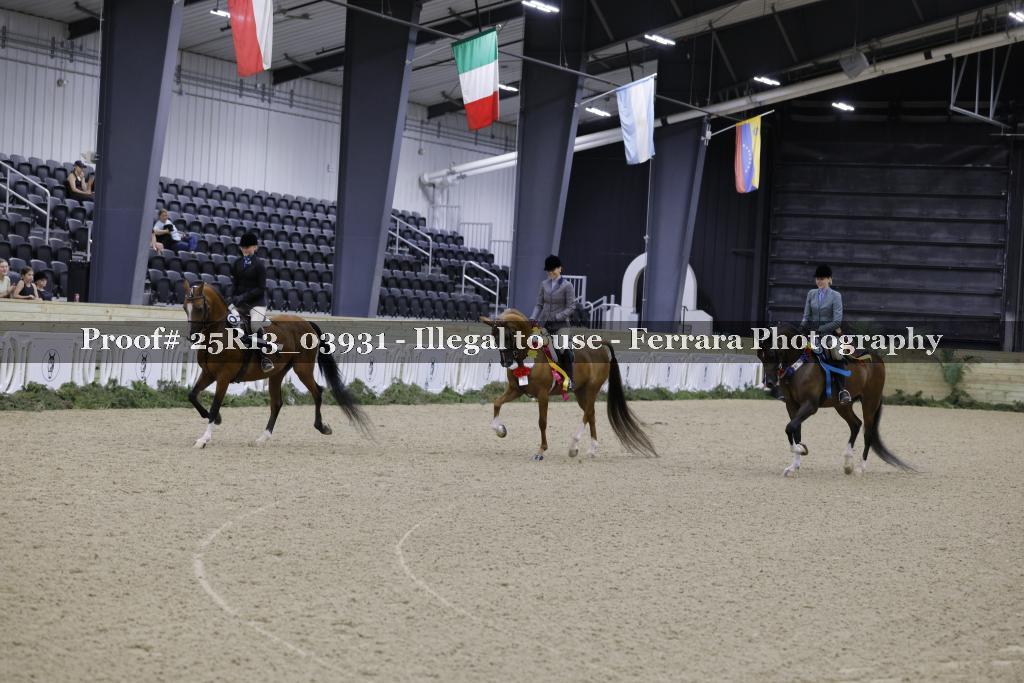 Proof 25R13_03931
