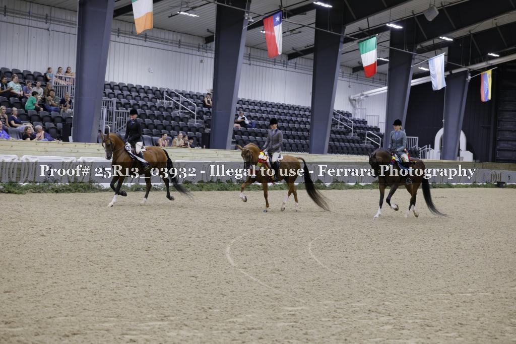 Proof 25R13_03932