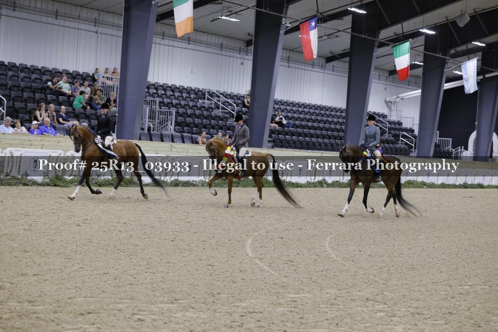 Proof 25R13_03933