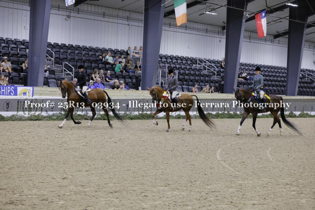 Proof 25R13_03934