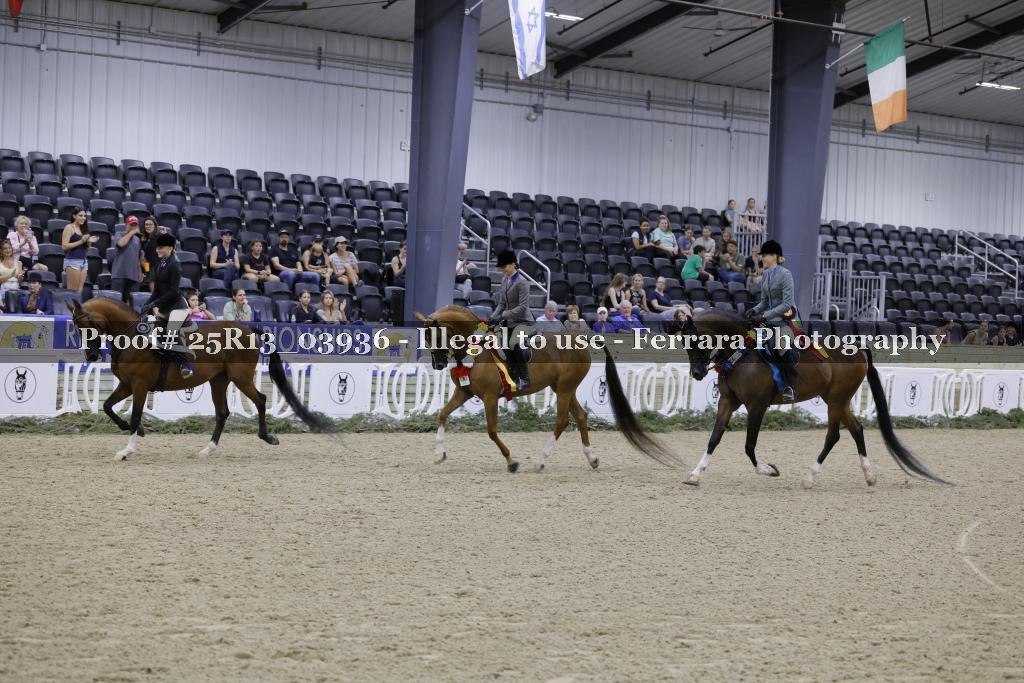 Proof 25R13_03936