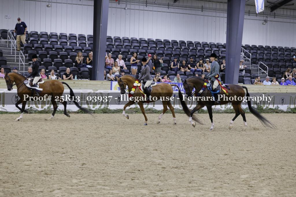 Proof 25R13_03937