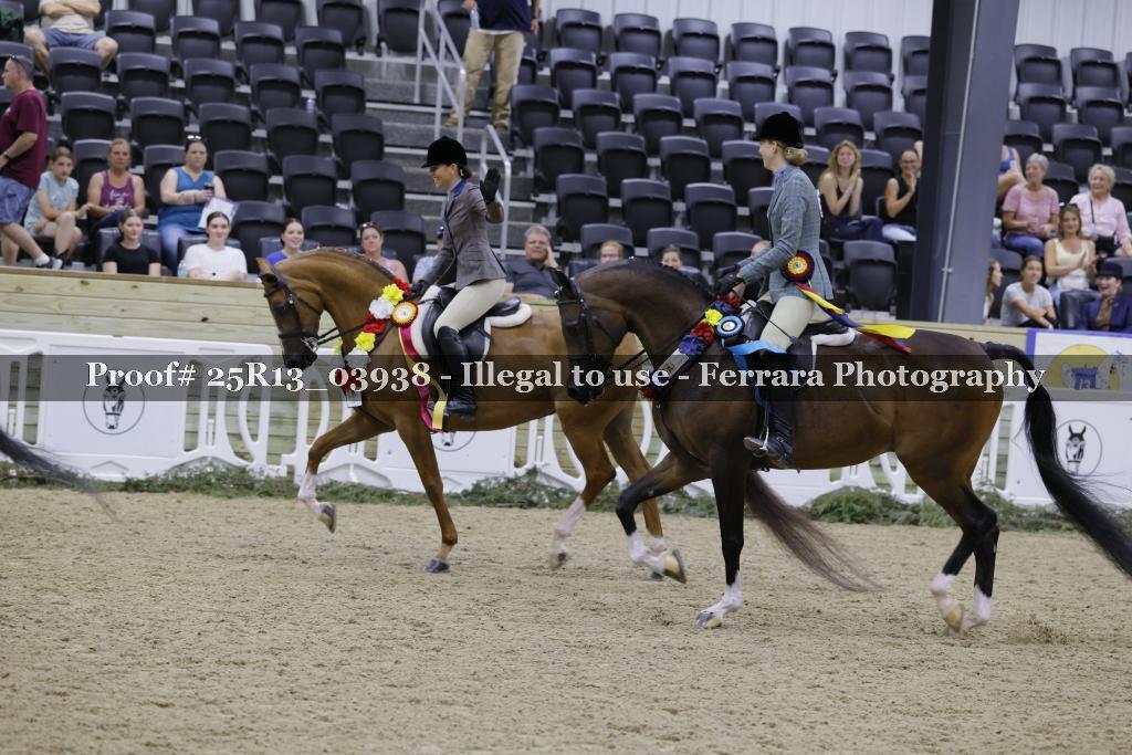 Proof 25R13_03938