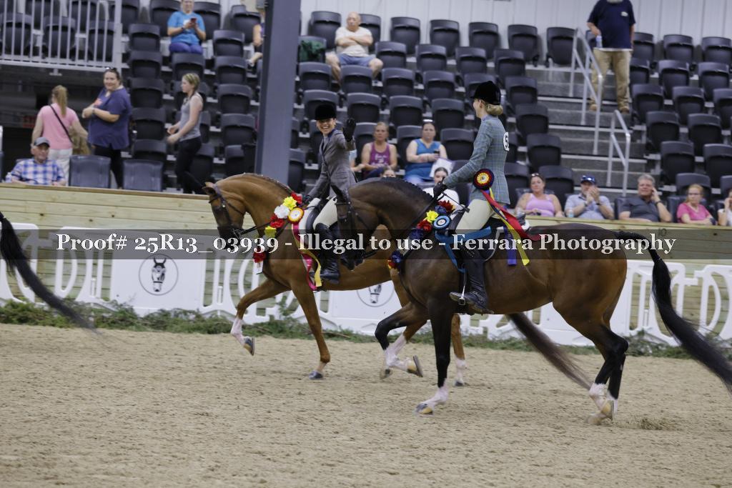 Proof 25R13_03939