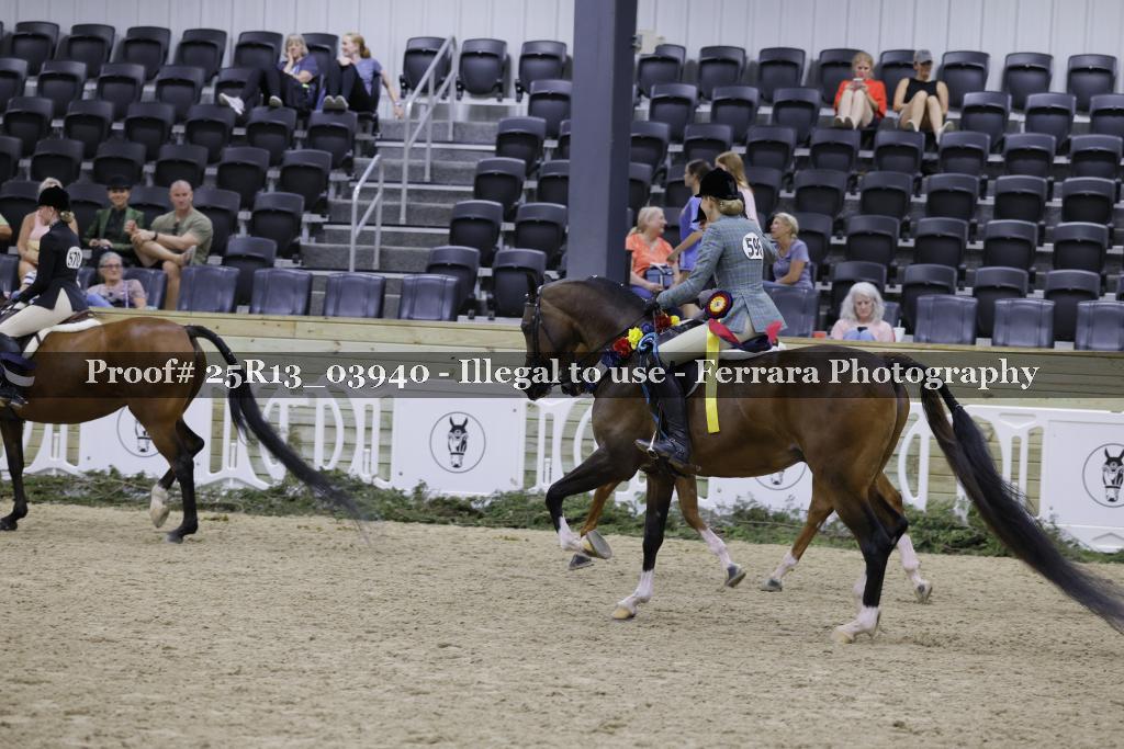 Proof 25R13_03940