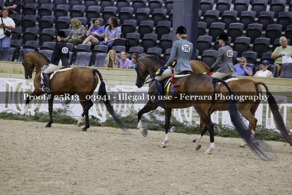 Proof 25R13_03941