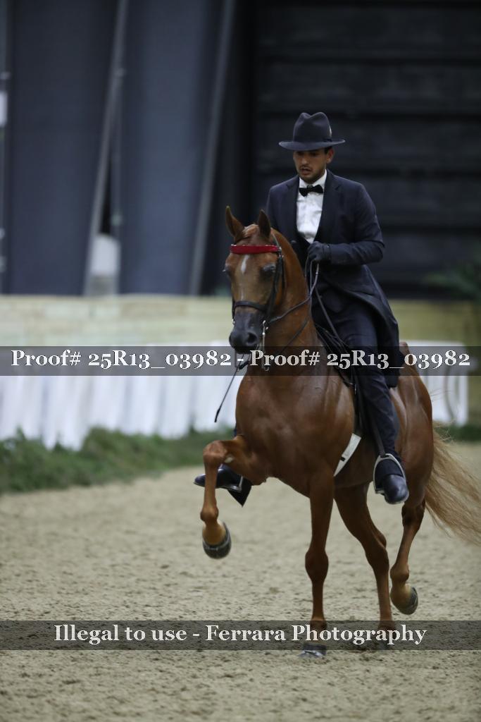 Proof 25R13_03982