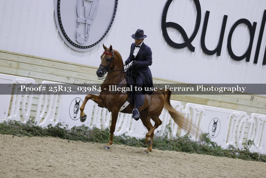 Proof 25R13_03984