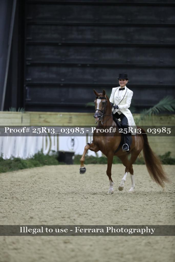 Proof 25R13_03985