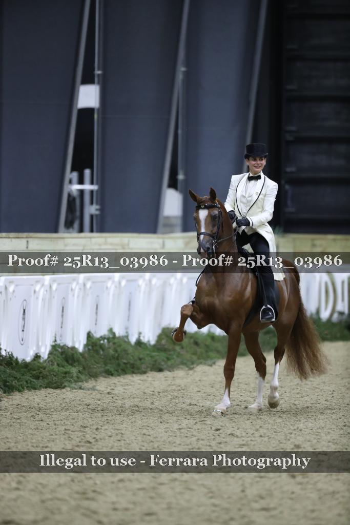 Proof 25R13_03986