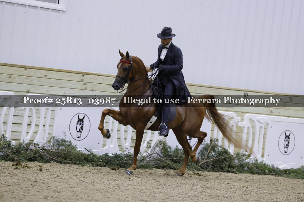 Proof 25R13_03987