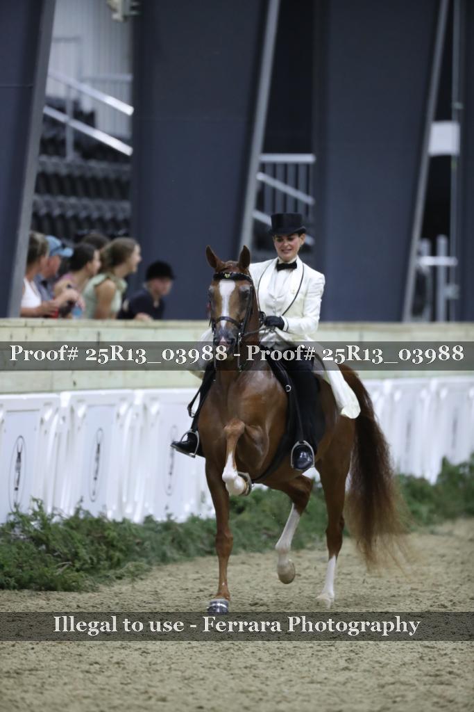 Proof 25R13_03988