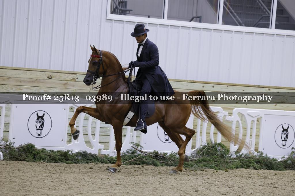 Proof 25R13_03989