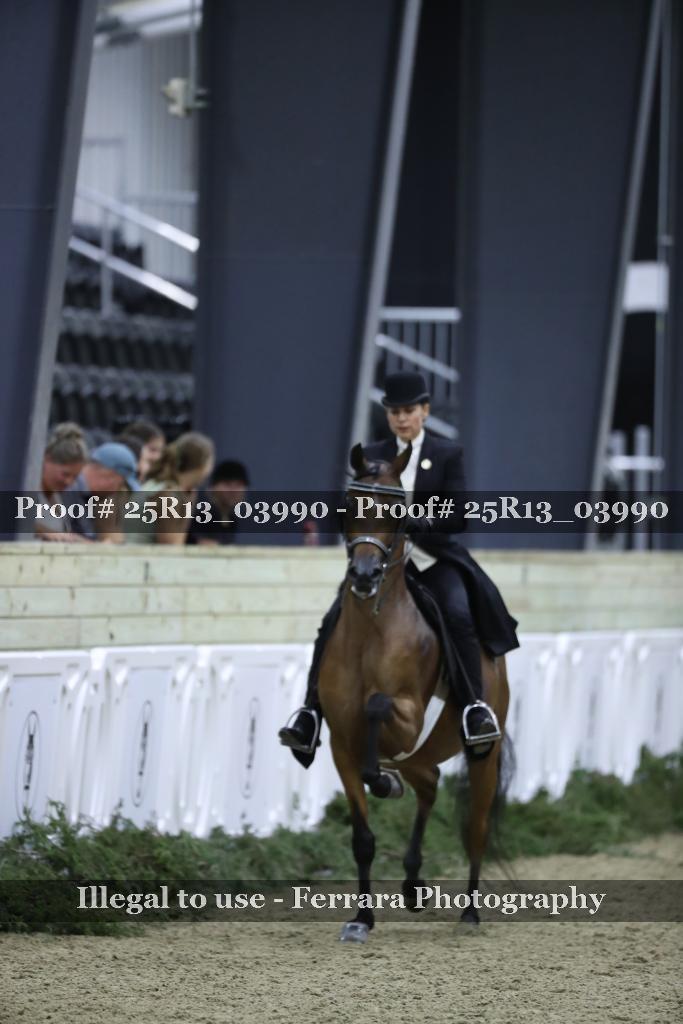 Proof 25R13_03990