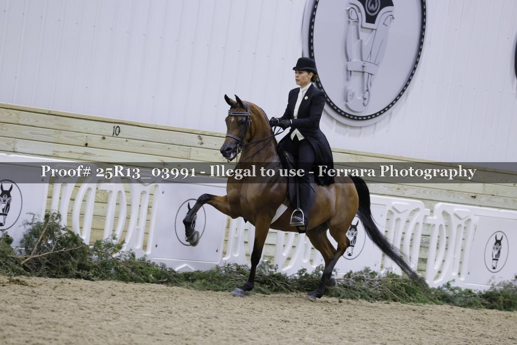 Proof 25R13_03991