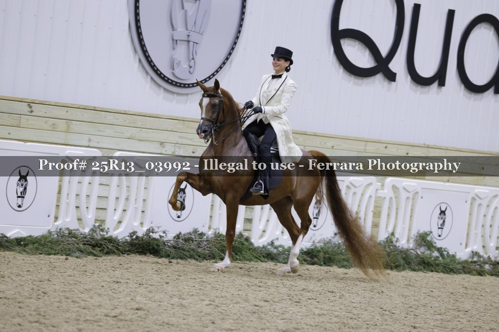 Proof 25R13_03992