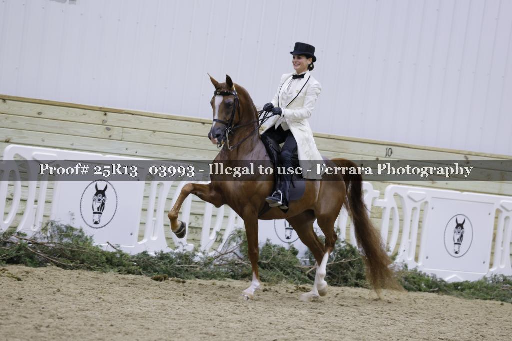 Proof 25R13_03993