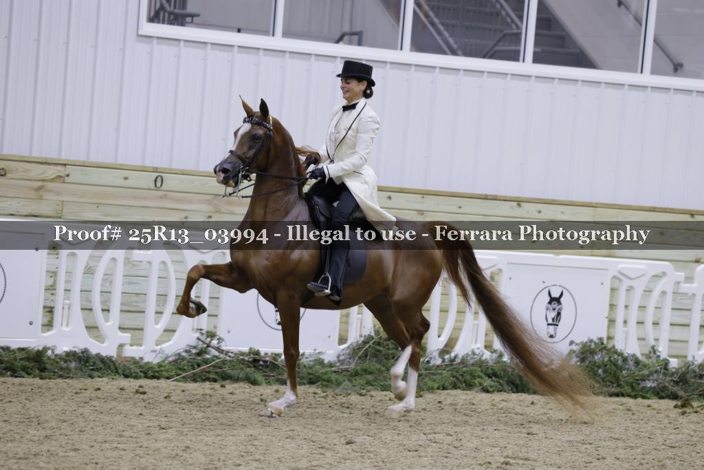 Proof 25R13_03994