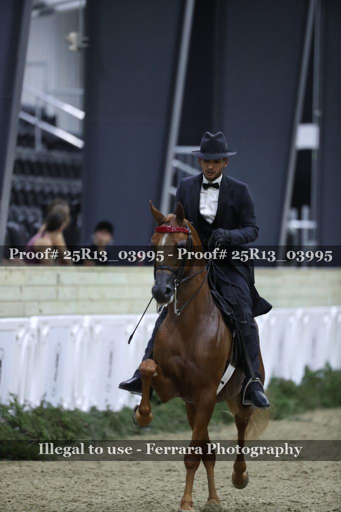Proof 25R13_03995