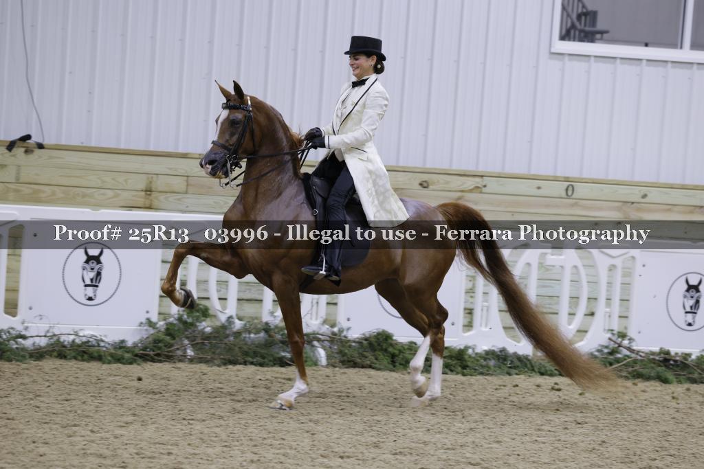 Proof 25R13_03996