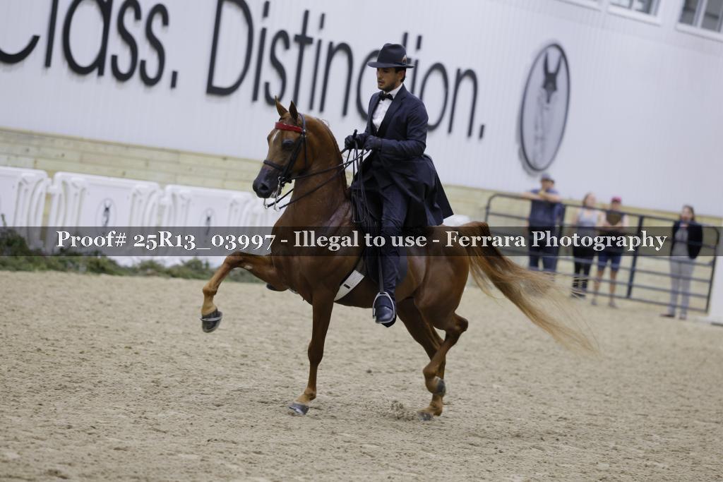 Proof 25R13_03997