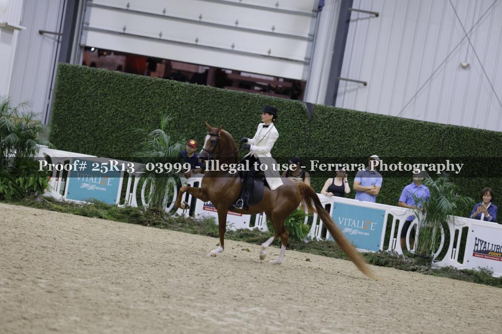 Proof 25R13_03999